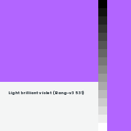 Color chip: Light brilliant violet (Bang-v3 531)