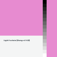 Color chip: Light fuchsia (Bang-v3 621)