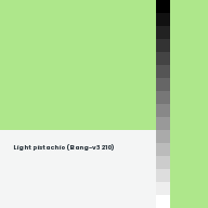 Color chip: Light pistachio (Bang-v3 210)