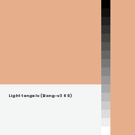 Color chip: Light tangelo (Bang-v3 69)