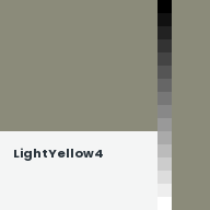 Color chip: LightYellow4