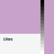 Color chip: Lilac