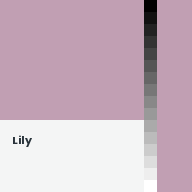 Color chip: Lily