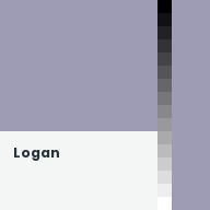 Color chip: Logan
