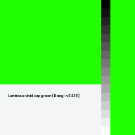 Color chip: Luminous vivid sap green (Bang-v3 235)