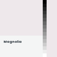 Color chip: Magnolia