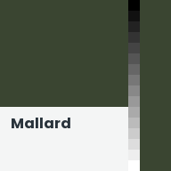 Color chip: Mallard