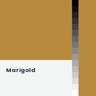 Color chip: Marigold