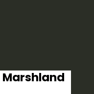 Color chip: Marshland