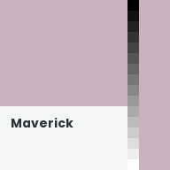 Color chip: Maverick
