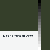 Color chip: Mediterranean Olive