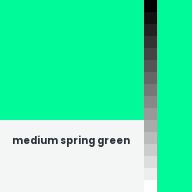 Color chip: Medium spring green