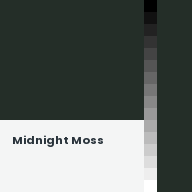 Color chip: Midnight Moss