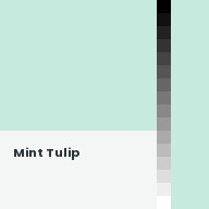 Color chip: Mint Tulip