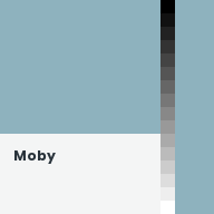 Color chip: Moby