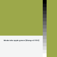 Color chip: Moderate apple green (Bang-v3 159)