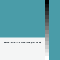 Color chip: Moderate arctic blue (Bang-v3 385)