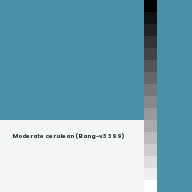 Color chip: Moderate cerulean (Bang-v3 399)