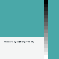 Color chip: Moderate cyan (Bang-v3 369)