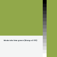 Color chip: Moderate lime green (Bang-v3 173)
