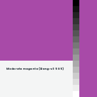 Color chip: Moderate magenta (Bang-v3 595)