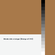 Color chip: Moderate orange (Bang-v3 86)