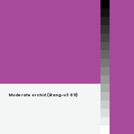Color chip: Moderate orchid (Bang-v3 611)