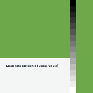 Color chip: Moderate pistachio (Bang-v3 213)