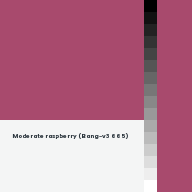 Color chip: Moderate raspberry (Bang-v3 665)