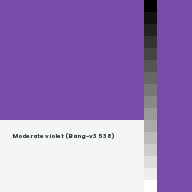 Color chip: Moderate violet (Bang-v3 538)