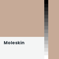 Color chip: Moleskin