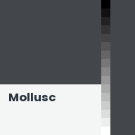 Color chip: Mollusc