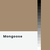 Color chip: Mongoose