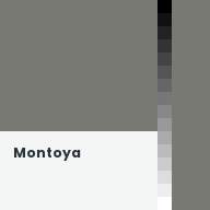 Color chip: Montoya