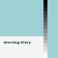 Color chip: Morning Glory