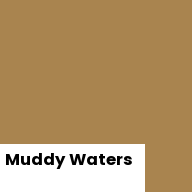 Color chip: Muddy Waters