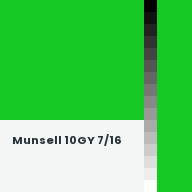 Color chip: Munsell 10GY 7/16