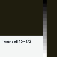 Color chip: Munsell 10Y 1/2