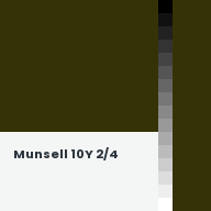 Color chip: Munsell 10Y 2/4