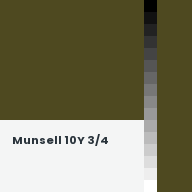 Color chip: Munsell 10Y 3/4