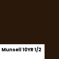 Color chip: Munsell 10YR 1/2