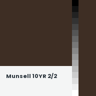 Color chip: Munsell 10YR 2/2