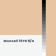 Color chip: Munsell 10YR 8/4