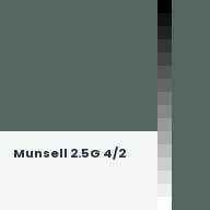Color chip: Munsell 2.5G 4/2