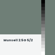 Color chip: Munsell 2.5G 5/2