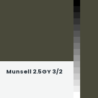 Color chip: Munsell 2.5GY 3/2