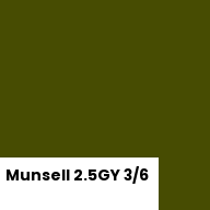 Color chip: Munsell 2.5GY 3/6