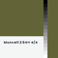Color chip: Munsell 2.5GY 4/4