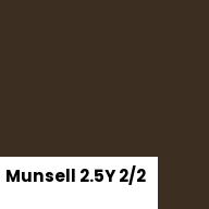 Color chip: Munsell 2.5Y 2/2