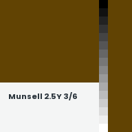 Color chip: Munsell 2.5Y 3/6